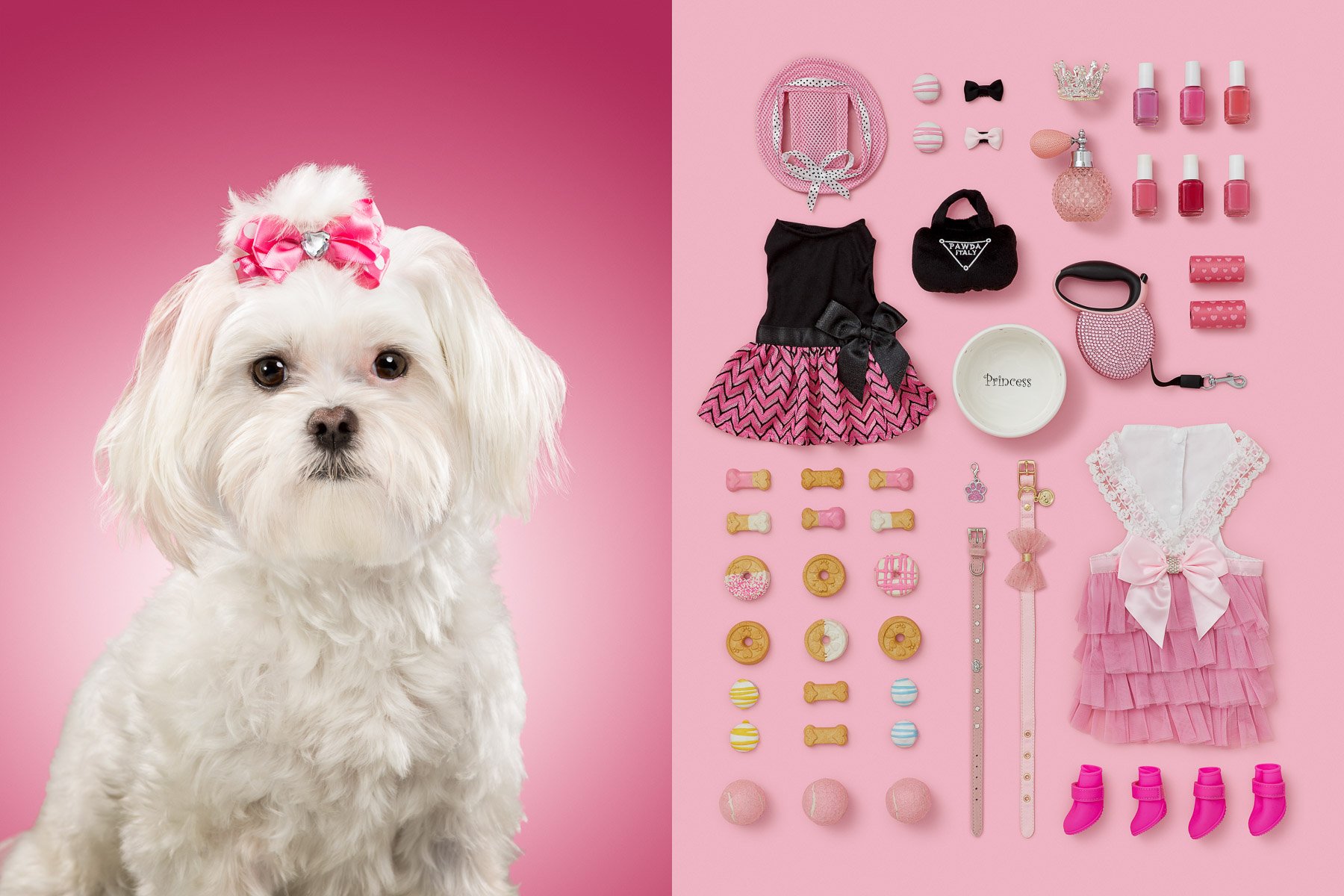 Princess-maltese-series-dog-portraits-knolling-pink-items-princess-animal-photographer.jpg