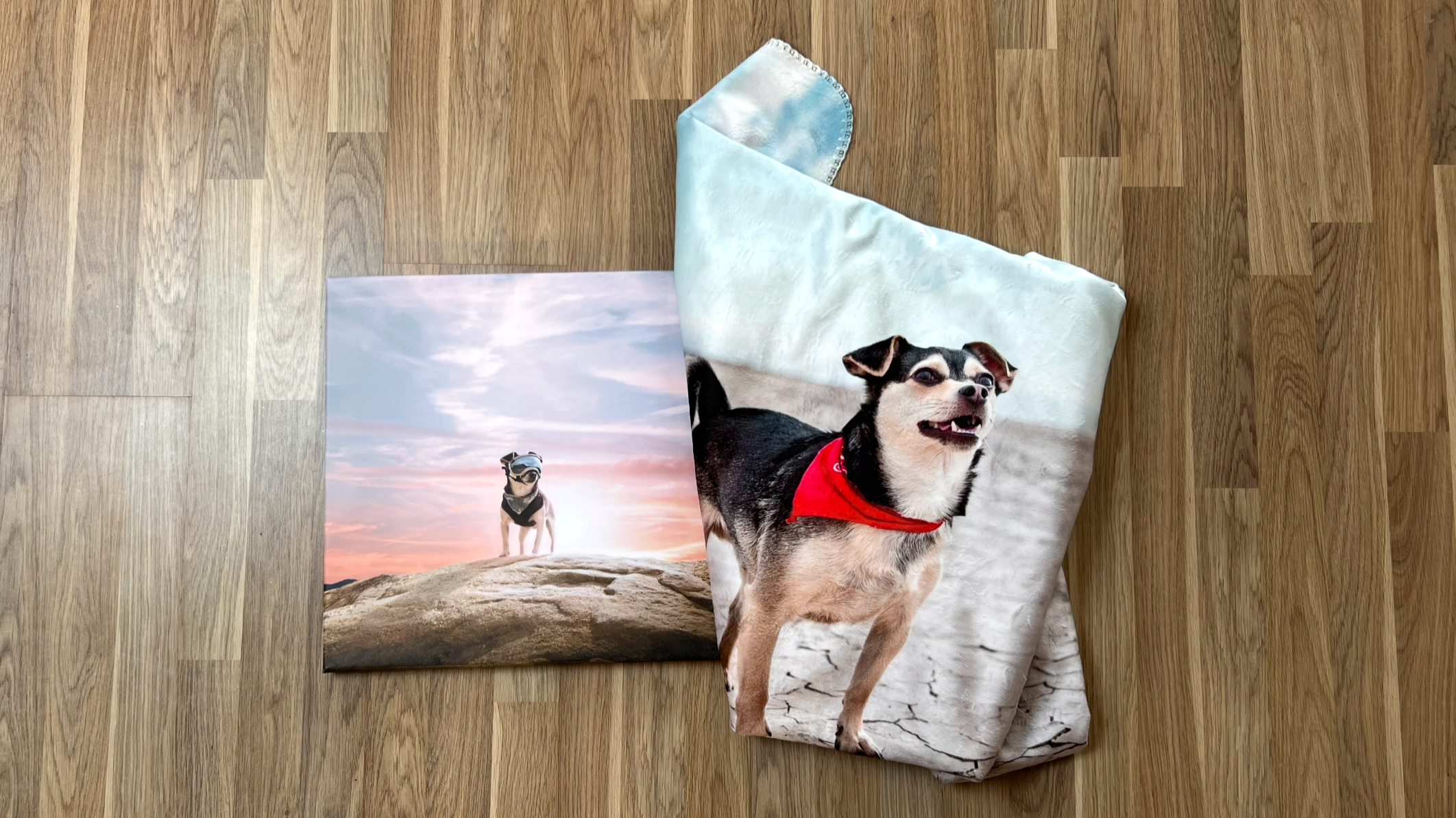 CanvasDiscount Review: How a Pet Photographer Prints and Preserves Her Dog's Portraits