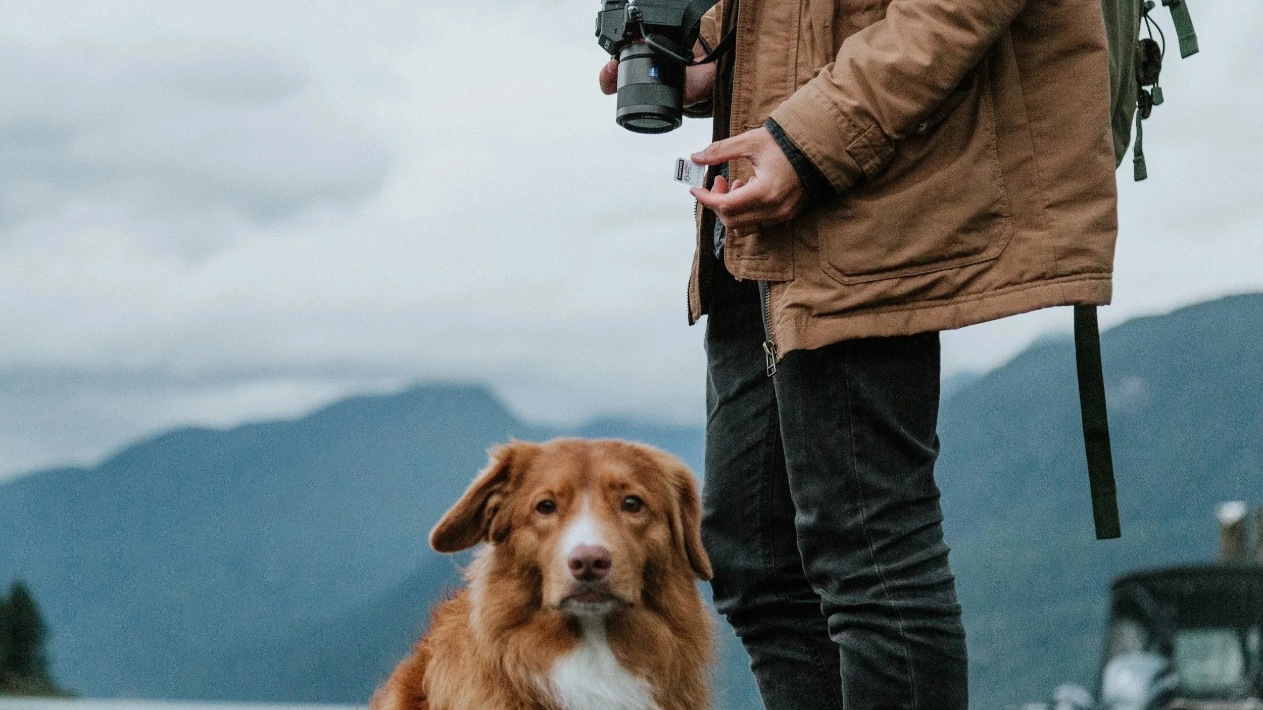  Prompt, Don't Pose: Photographing the Human-Animal Bond