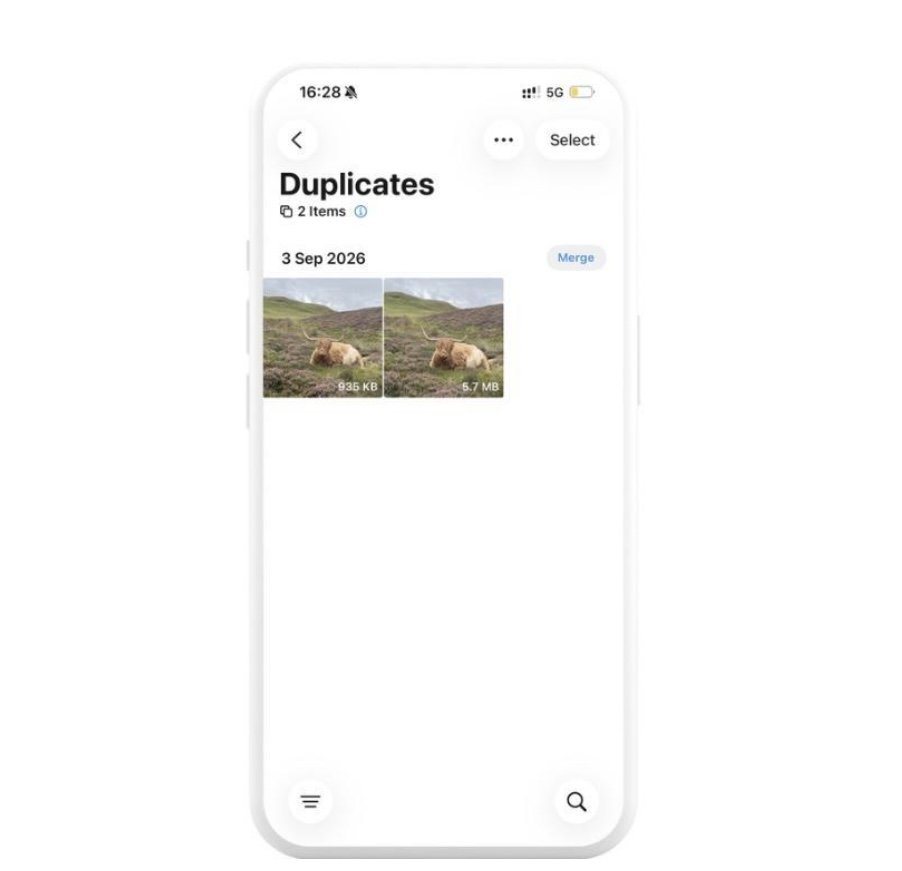 iPhone Photos app Duplicates album showing two similar photos ready to merge