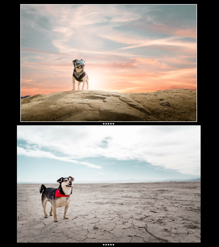 Two professional pet portraits of Riff, a small dog: one standing on a rock against a dramatic sunset sky wearing goggles, another on cracked dry earth wearing a red bandana