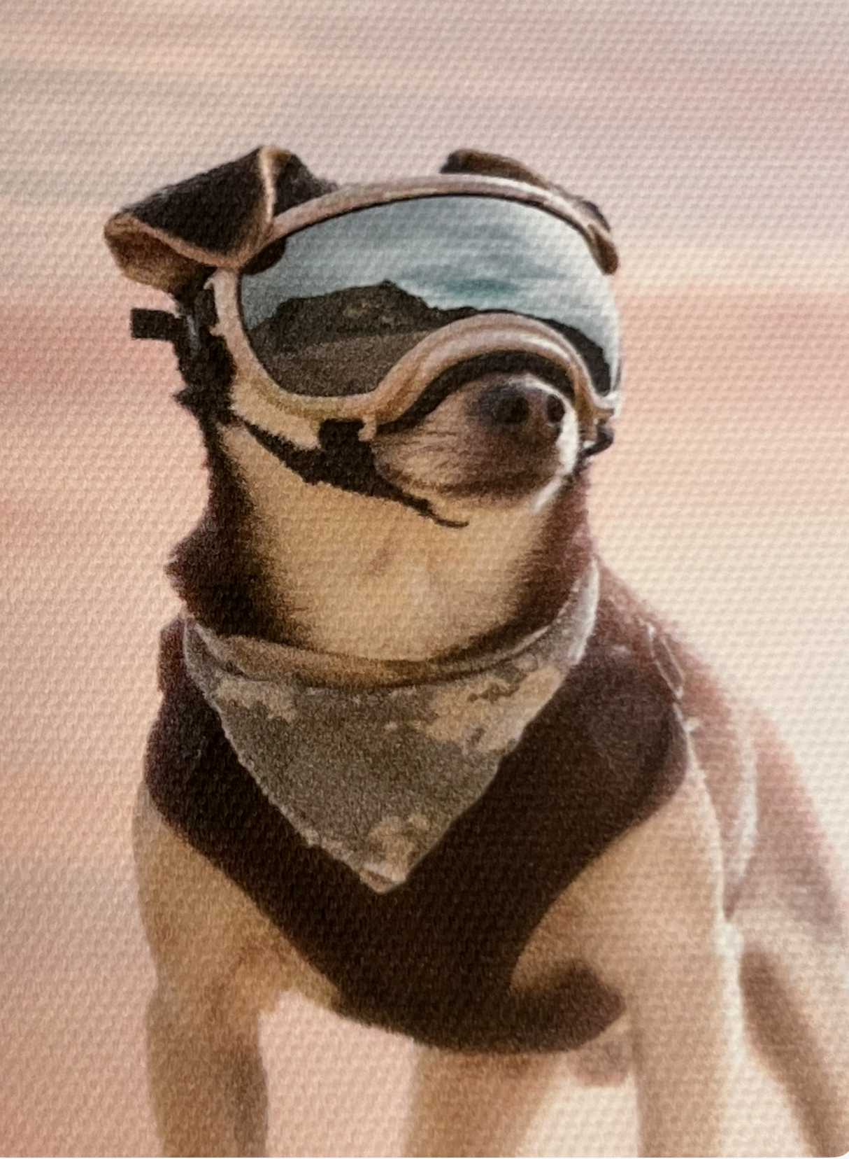 Extreme close-up of a canvas print showing Riff, a small dog wearing dog goggles and a bandana, with the canvas texture visible and fine detail preserved in the fur and accessories