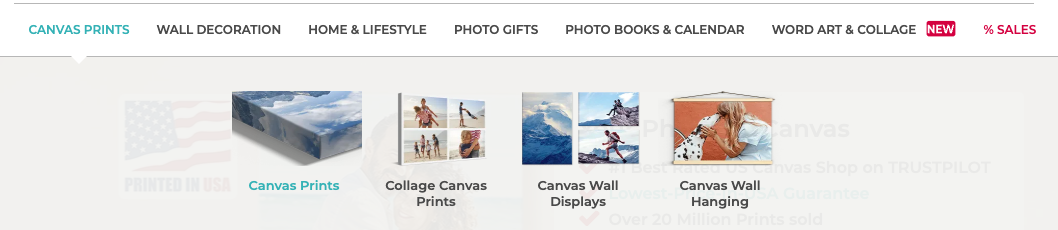 canvasdiscount-website-canvas-prints-product-categories.png