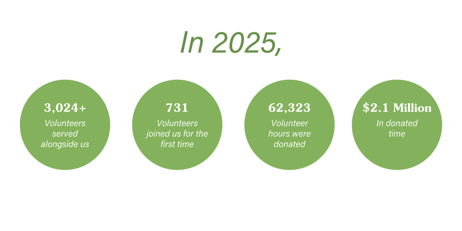 National Volunteer Month 2026 — Community Action House