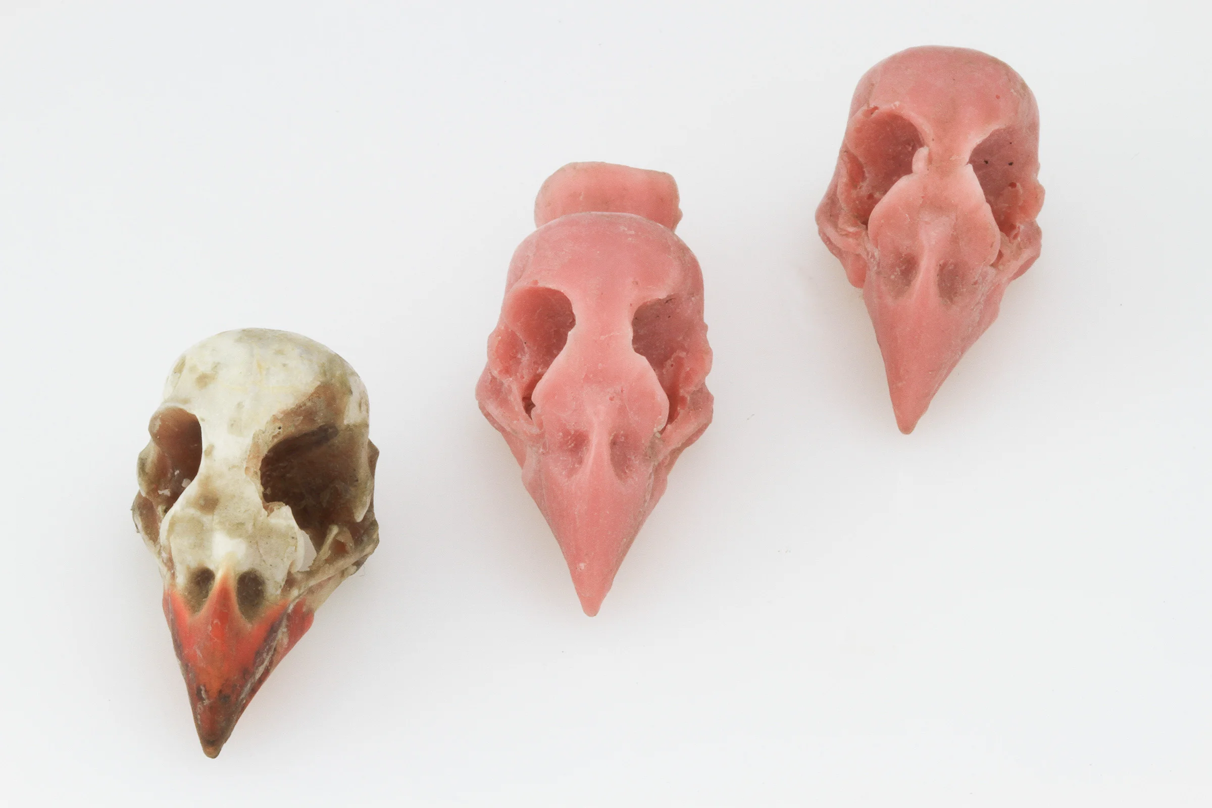 3 skulls top view.jpg