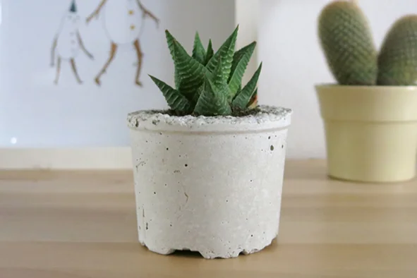 G :: DIY - Taller ecoplanter