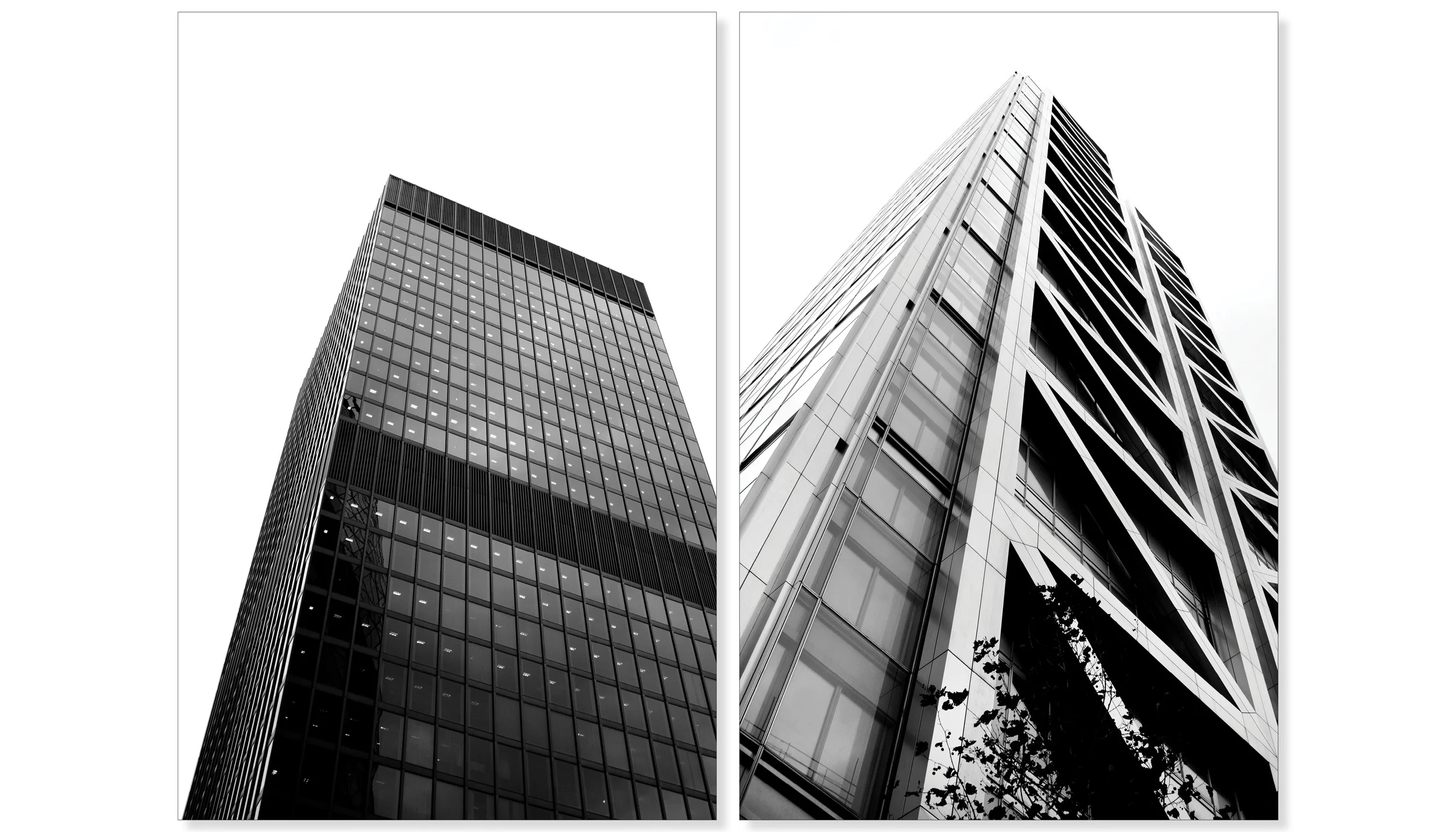 Looking Up (Architectural series)