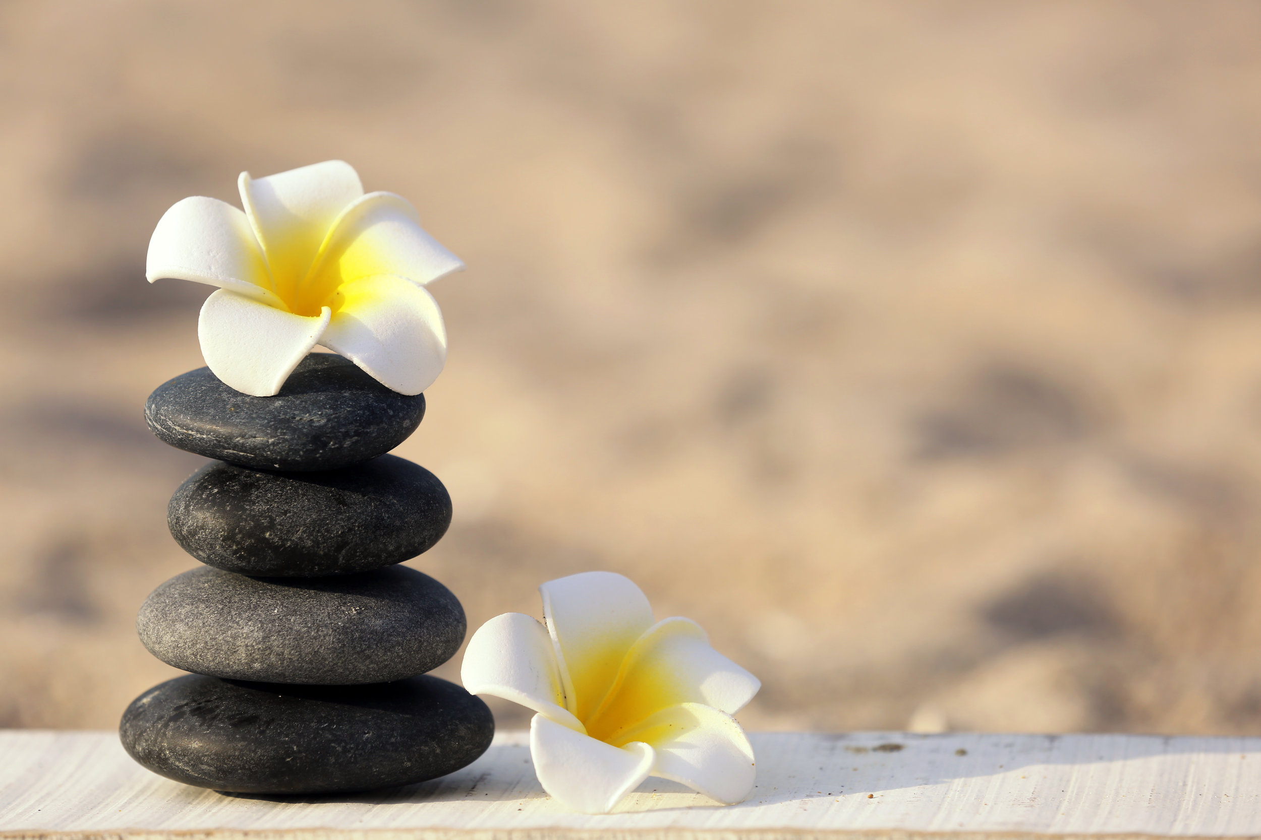 Life Rocks: What are your real priorities?