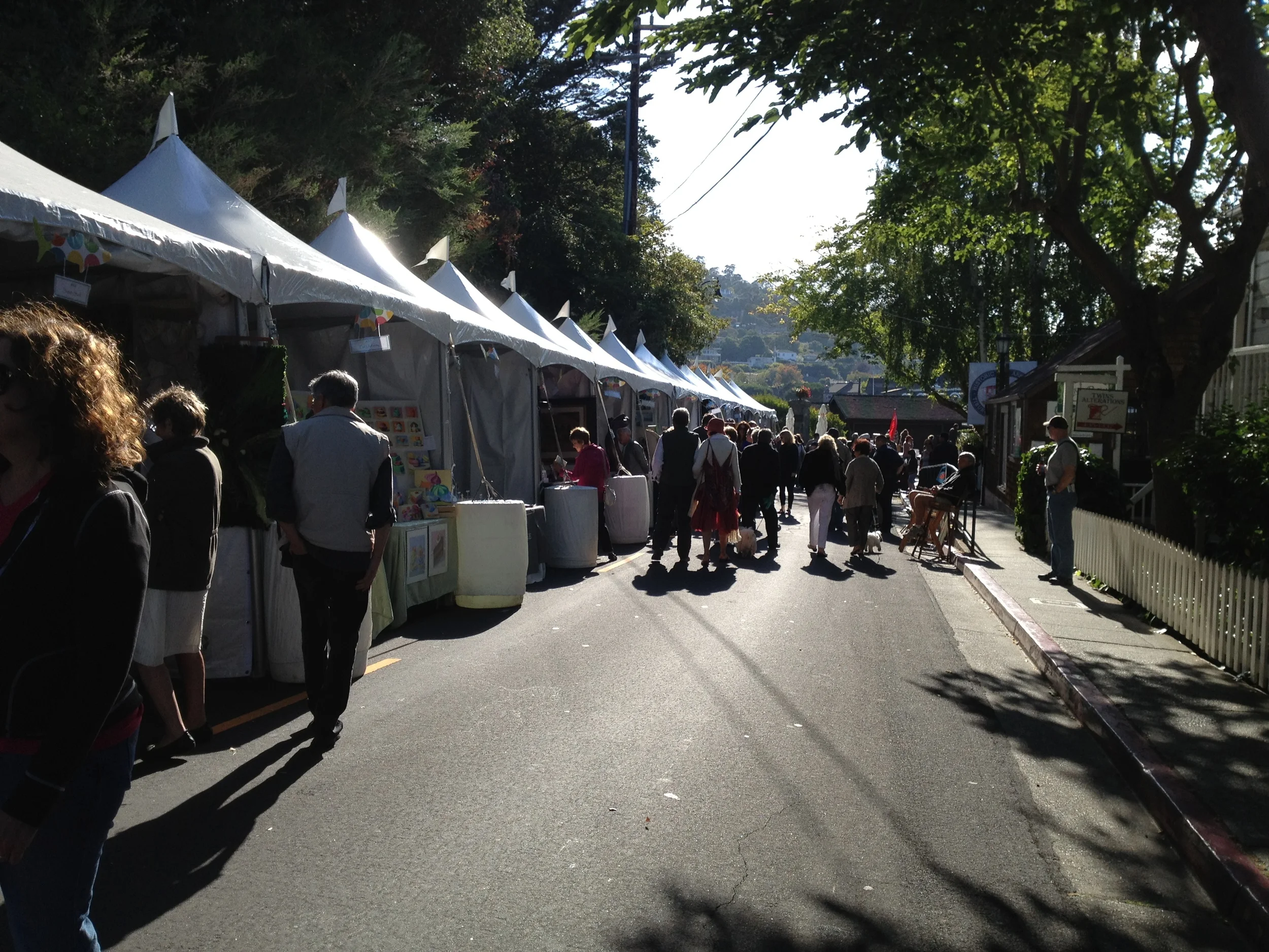 5_Tiburon Art Festival.JPG