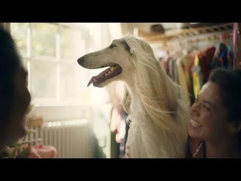 Grooming | All the Moments