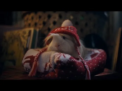 Holiday Traditions | All the Moments