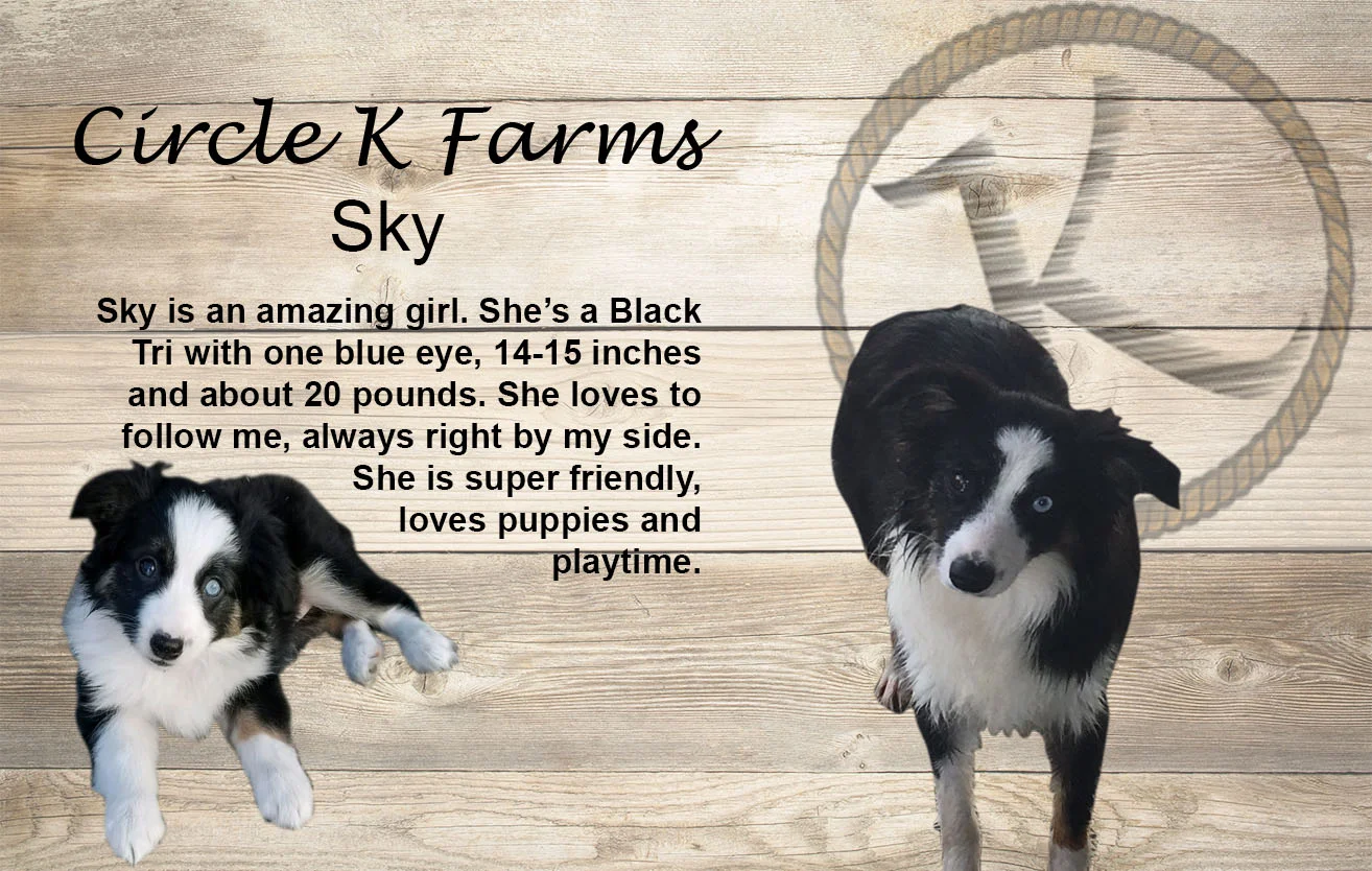 CircleKFarms Sky Mom2.jpg