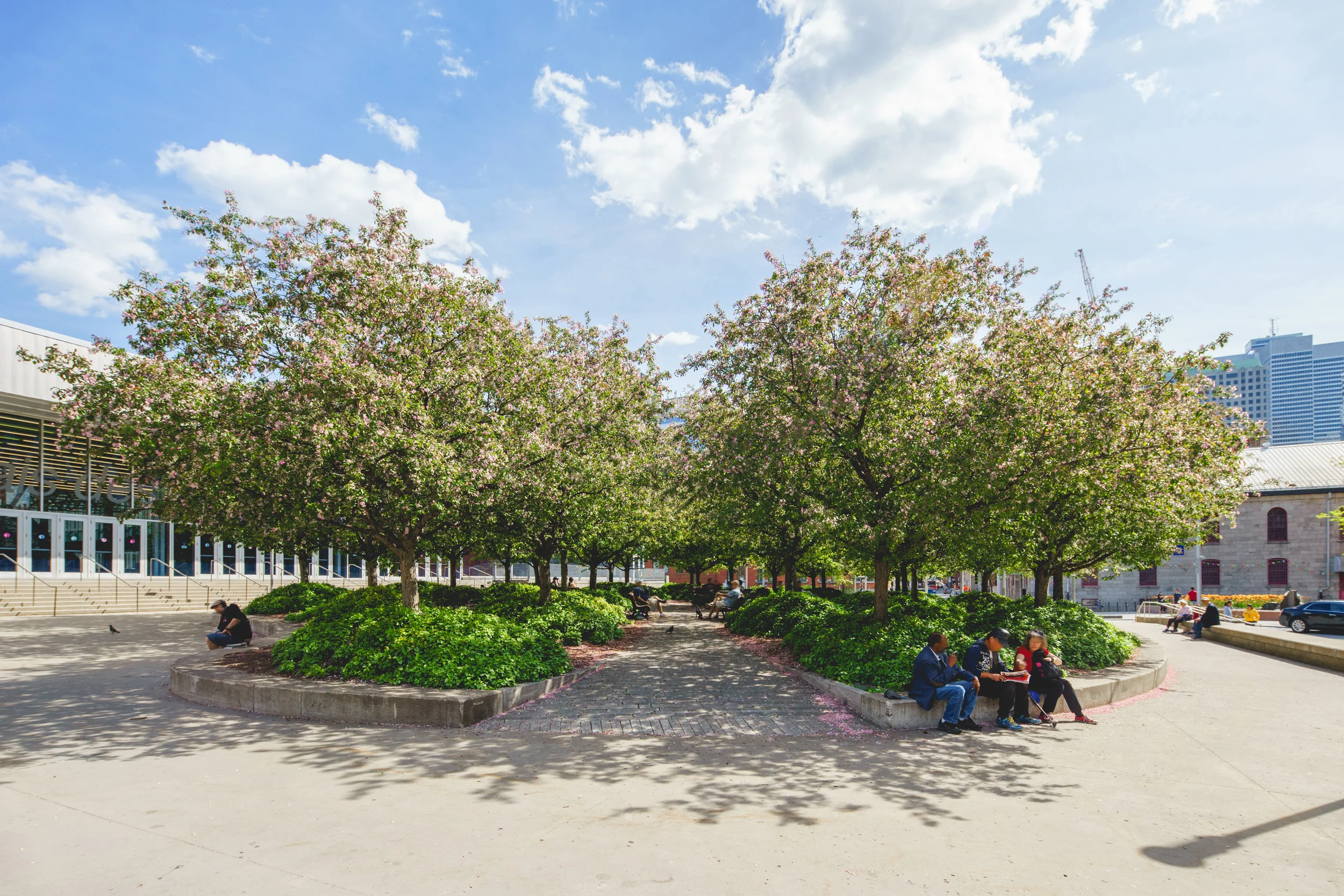 <<<<< BACK Esplanade du Palais des congrès - Claude Cormier + Associés © Raphaël Thibodeau