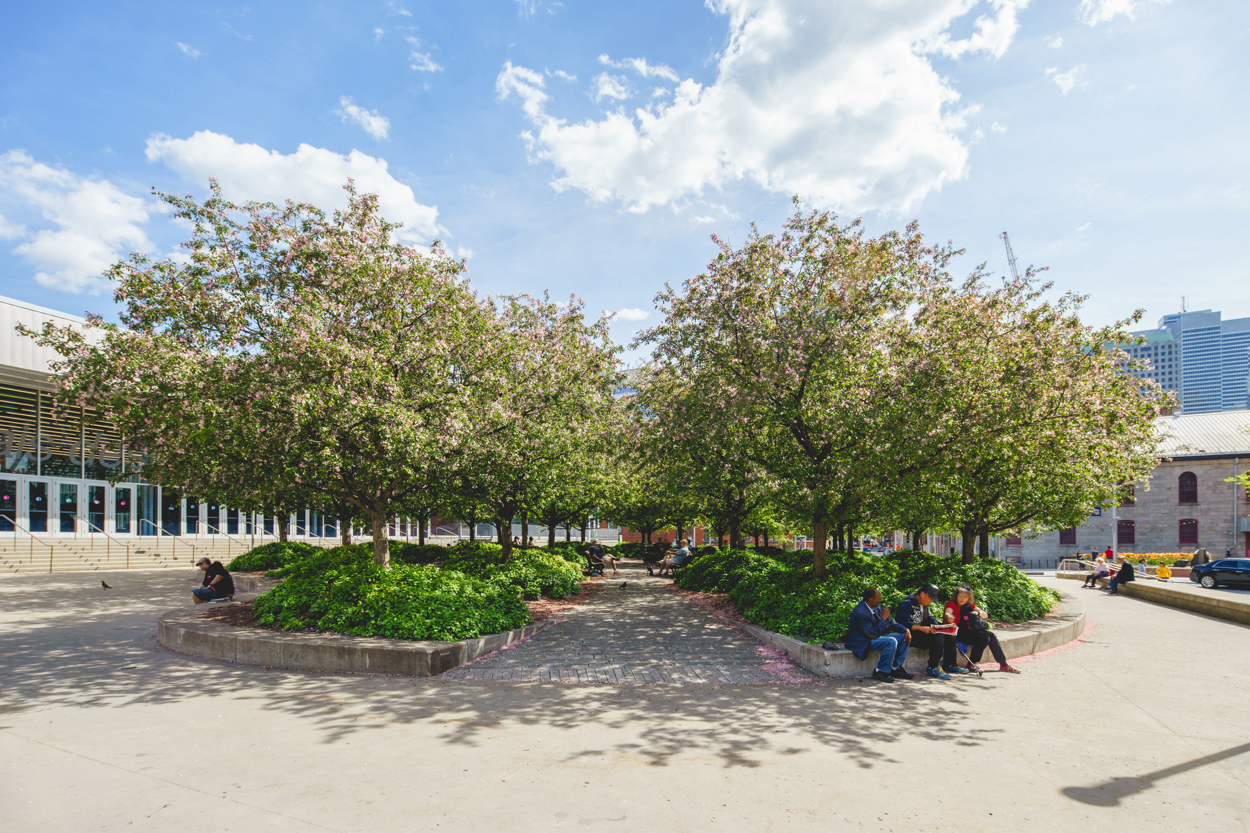   &lt;&lt;&lt;&lt;&lt; BACK  Esplanade du Palais des congrès -  Claude Cormier + Associés  © Raphaël Thibodeau  