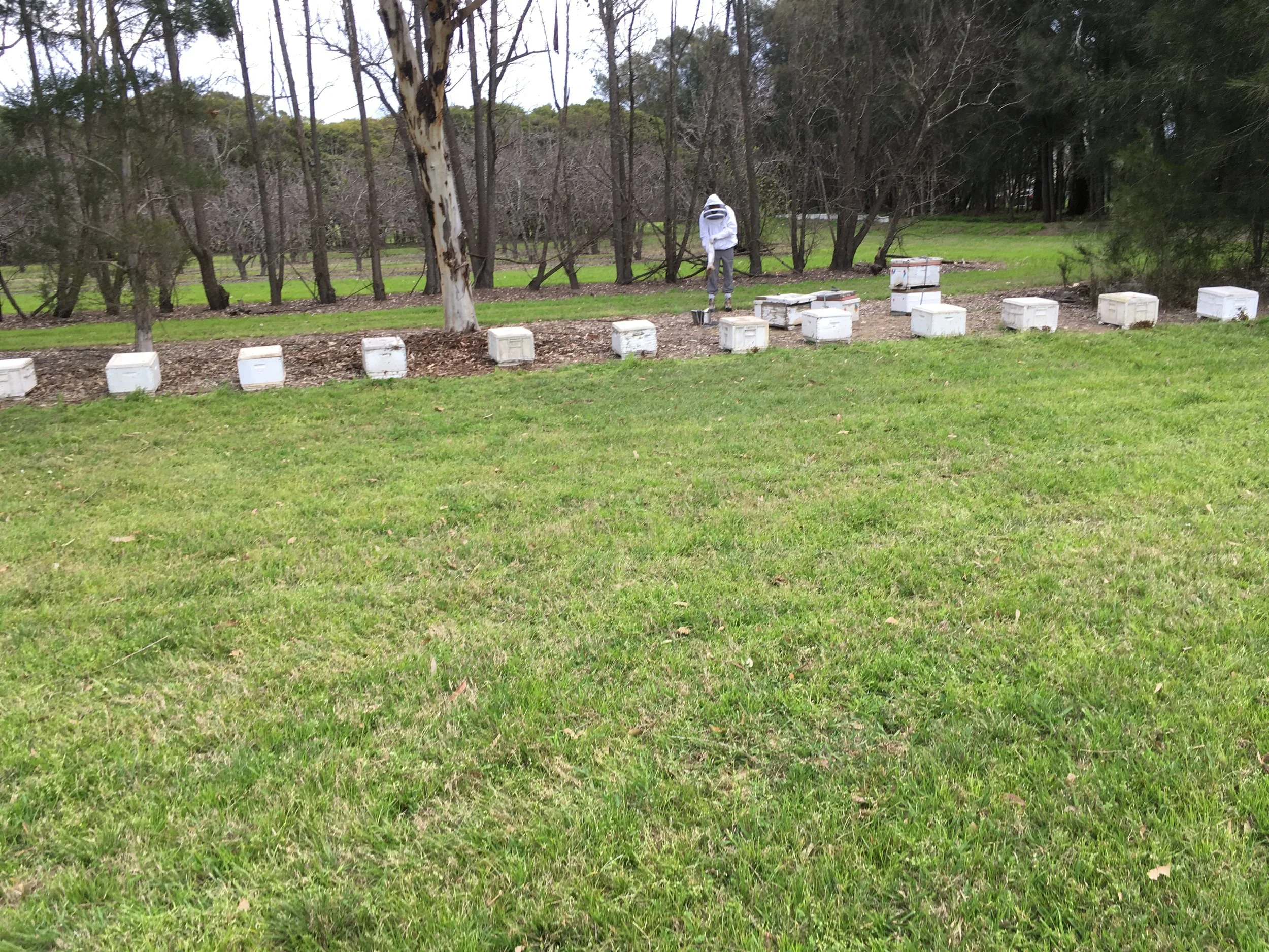 20,000 new lab members