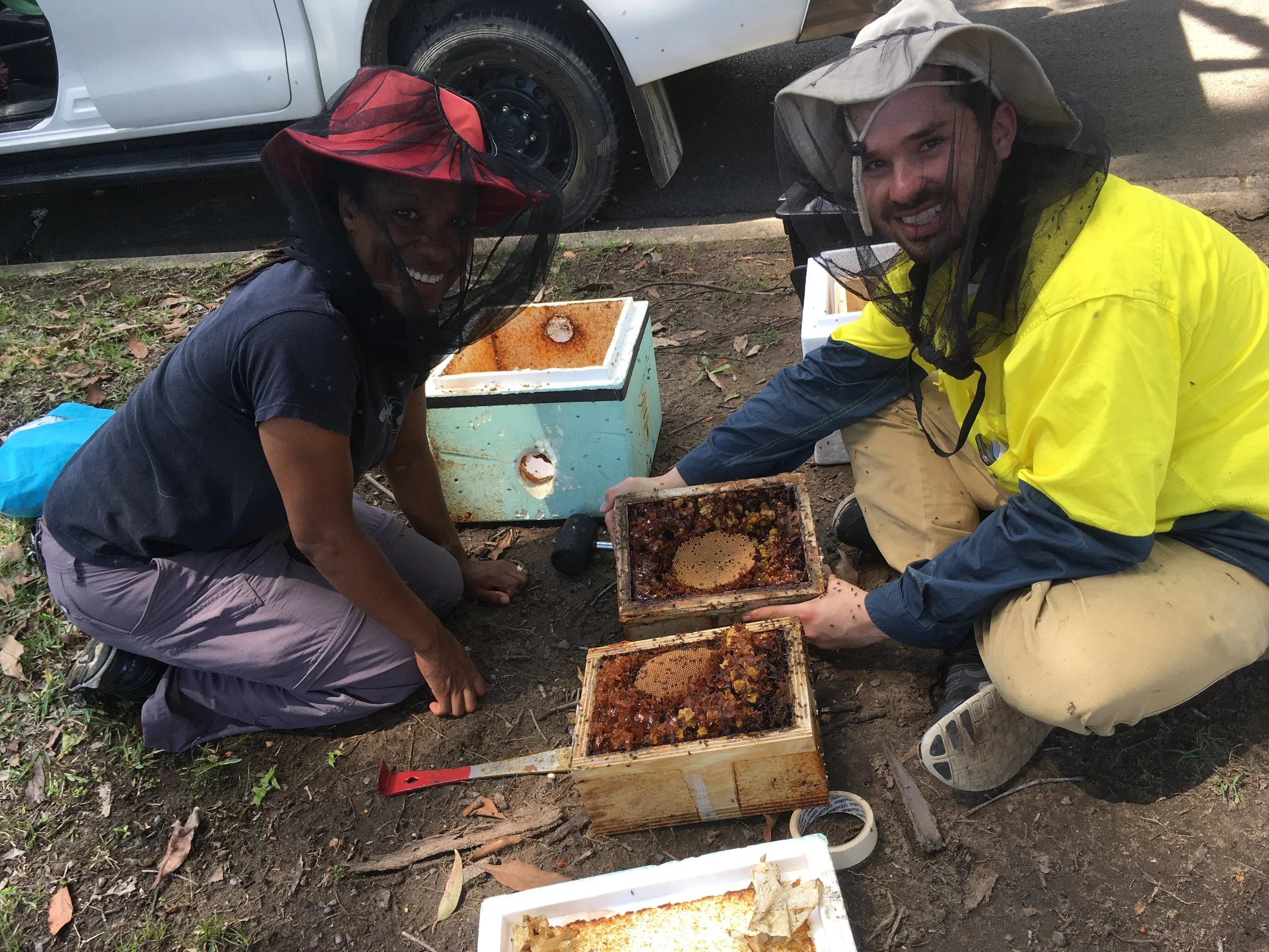 Tanya and Francisco splitting stingless bee hives.