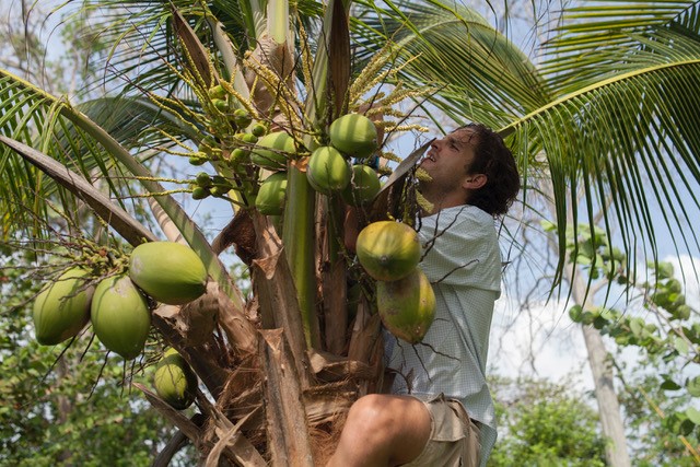 Manuel in tree.jpg