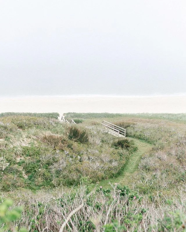 FRIDAY + cool weather + sunshine making me wish I was at the beach. So much to be thankful for.