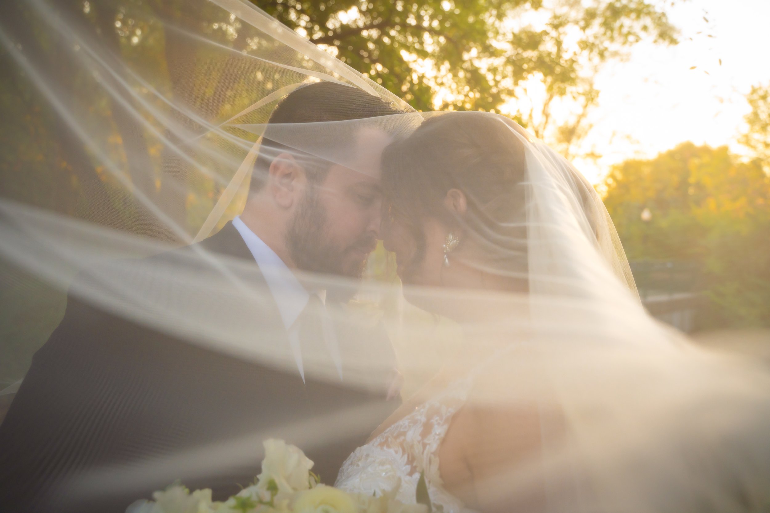 Wedding at Royal Park Hotel, Rochester, MI | Kyle and Shannon