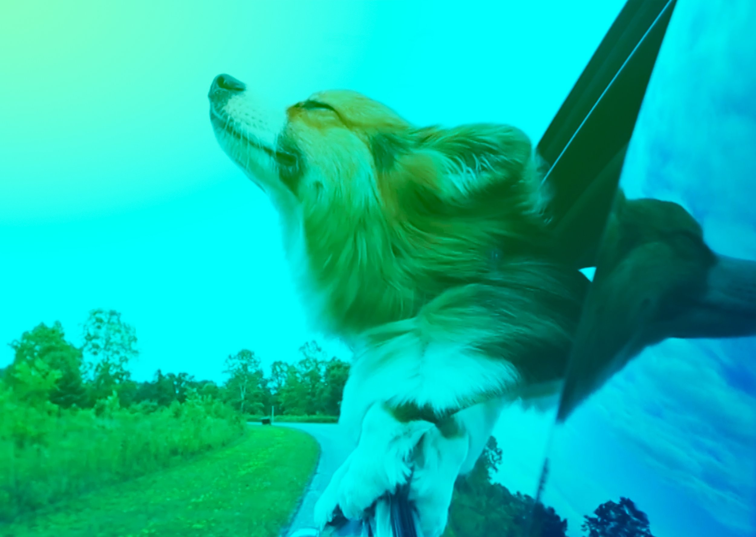 Frontpoint_Portfolio TIle 2.jpg