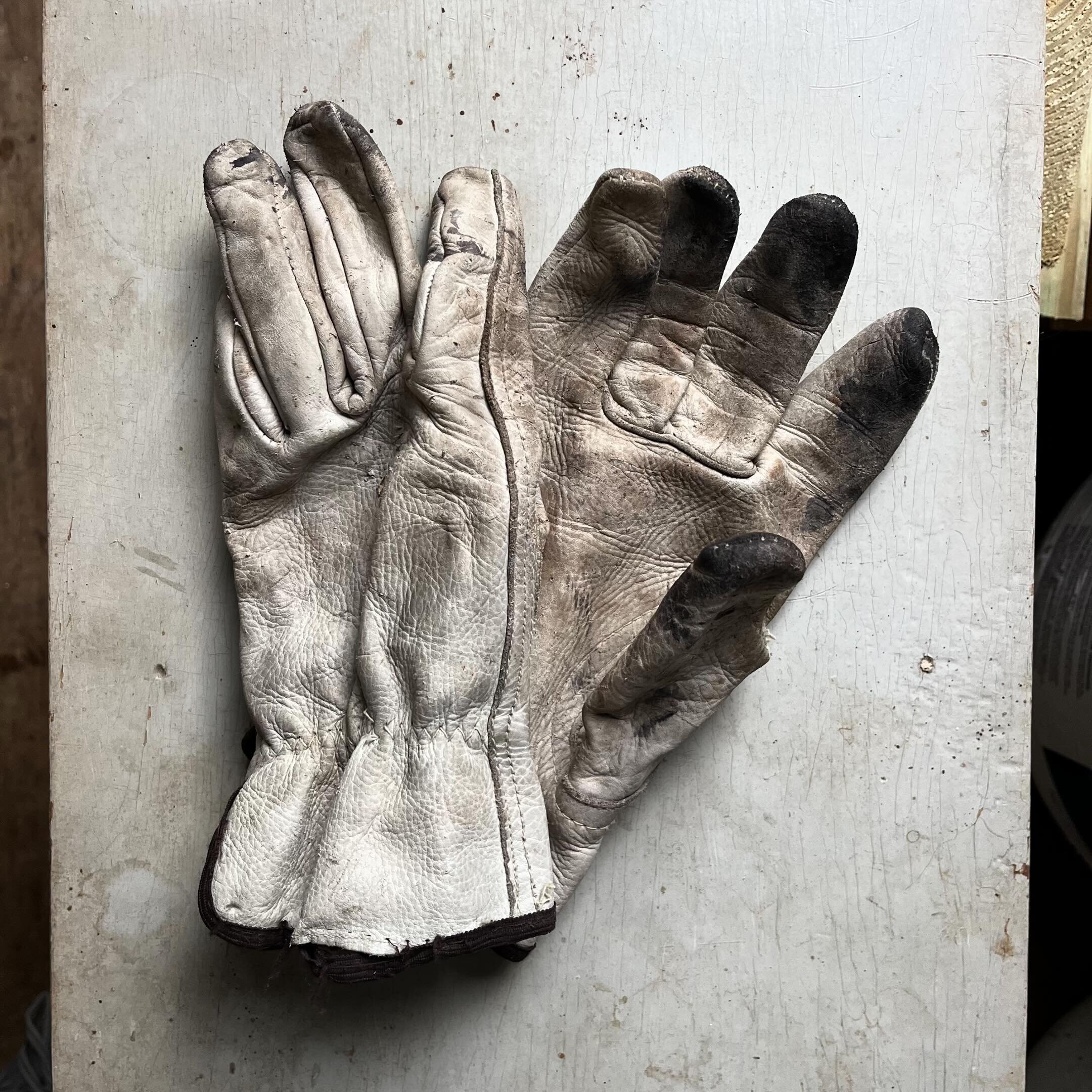 Work gloves. Summer &lsquo;23.