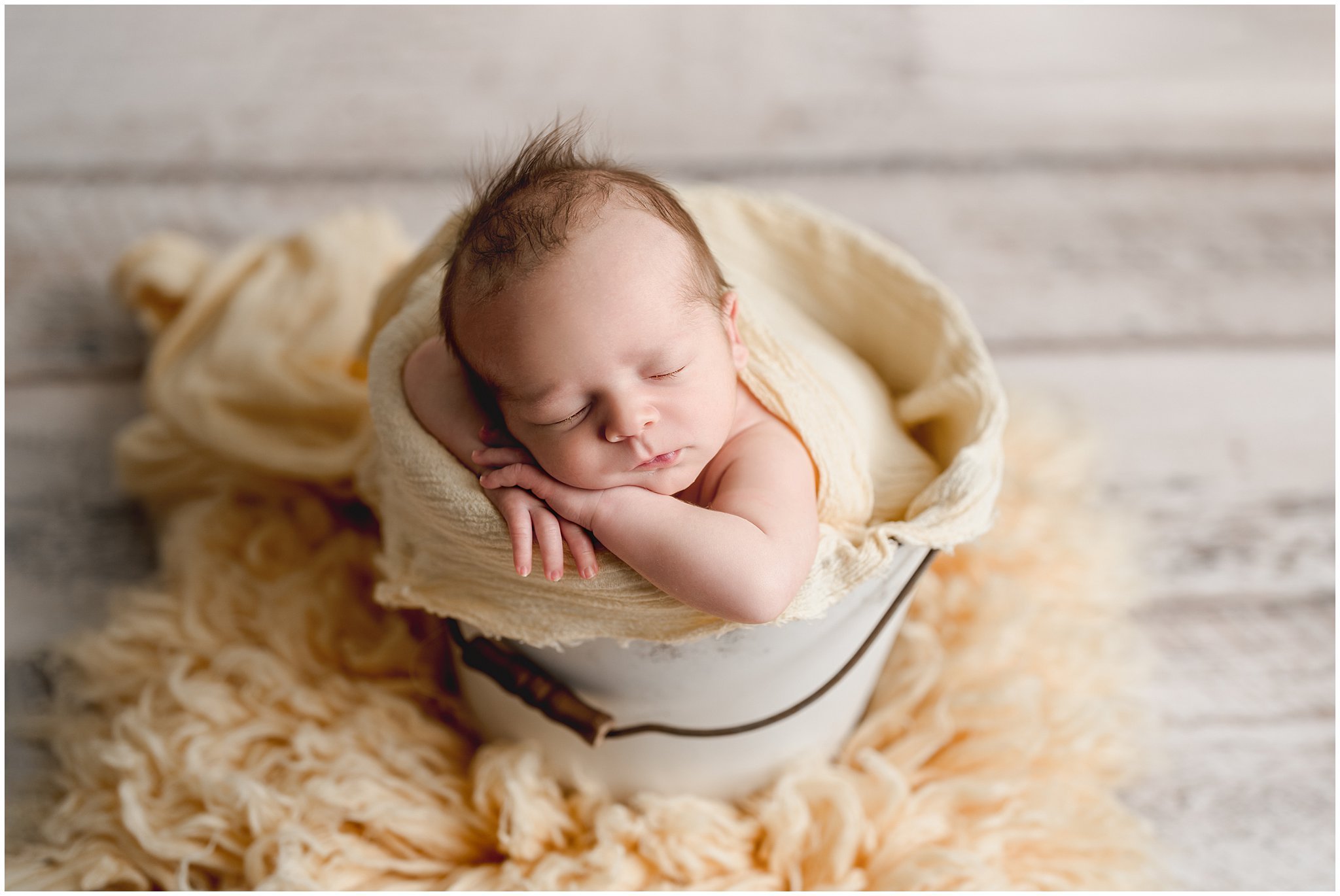 Allentown Newborn Photographer.jpg