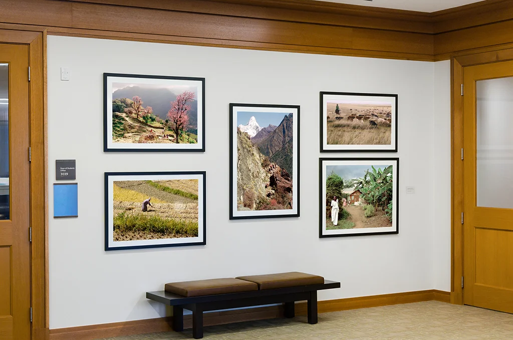 Public and private settings in which photographs have been or are being shown, including temporary exhibits and permanent installations.