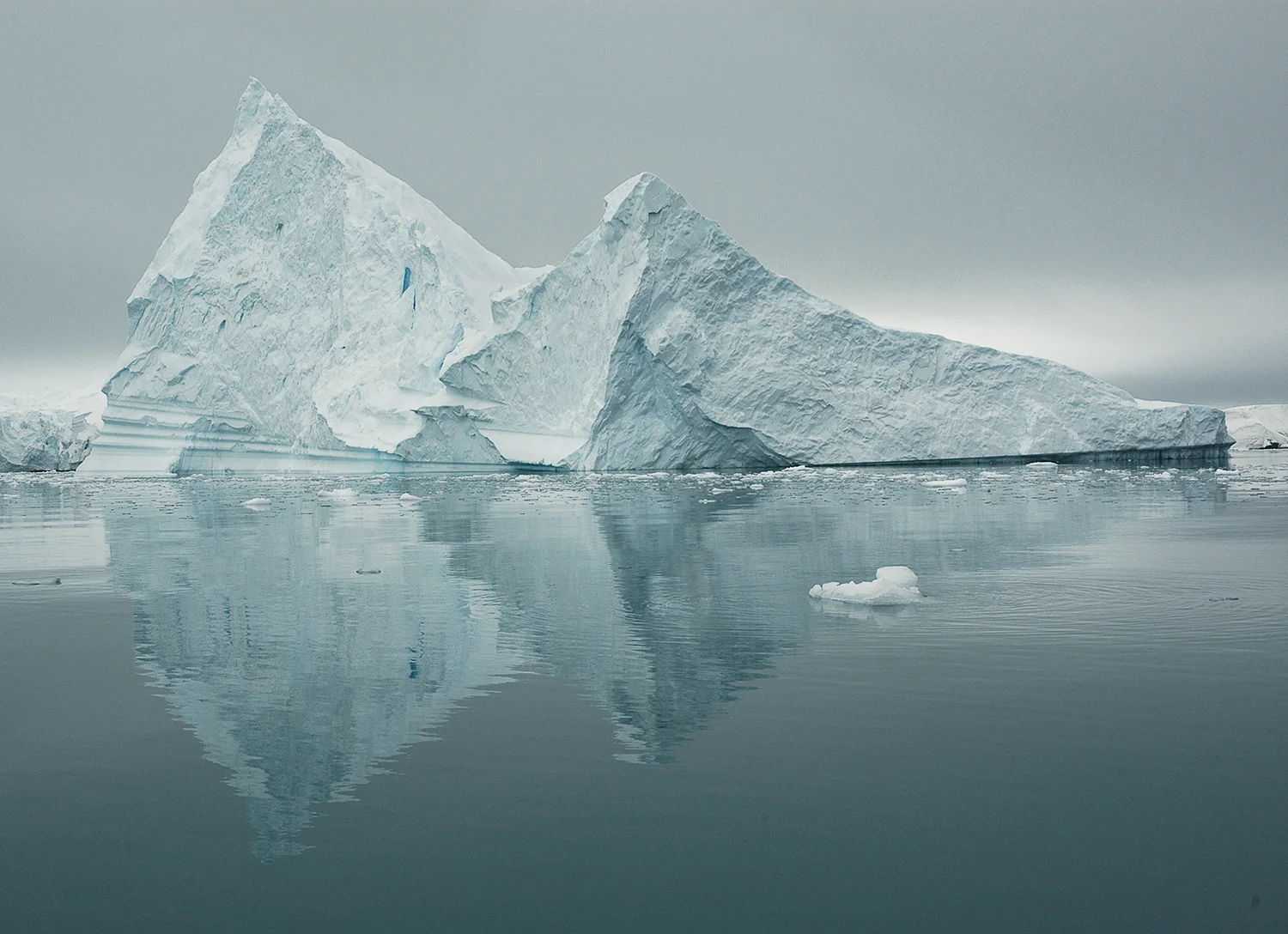 Siblings, Antarctica