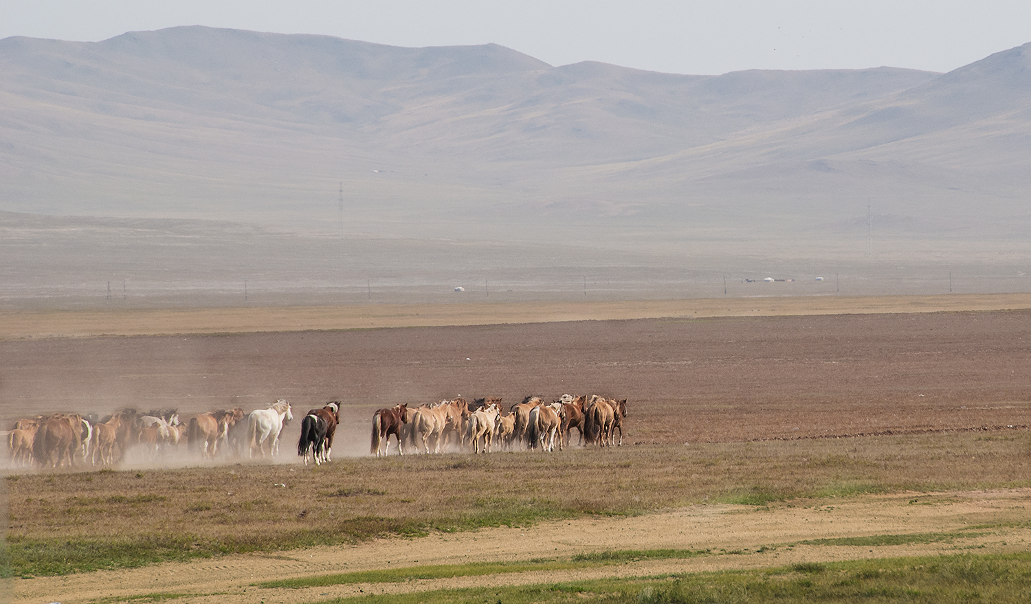   Mongolian Steppe  