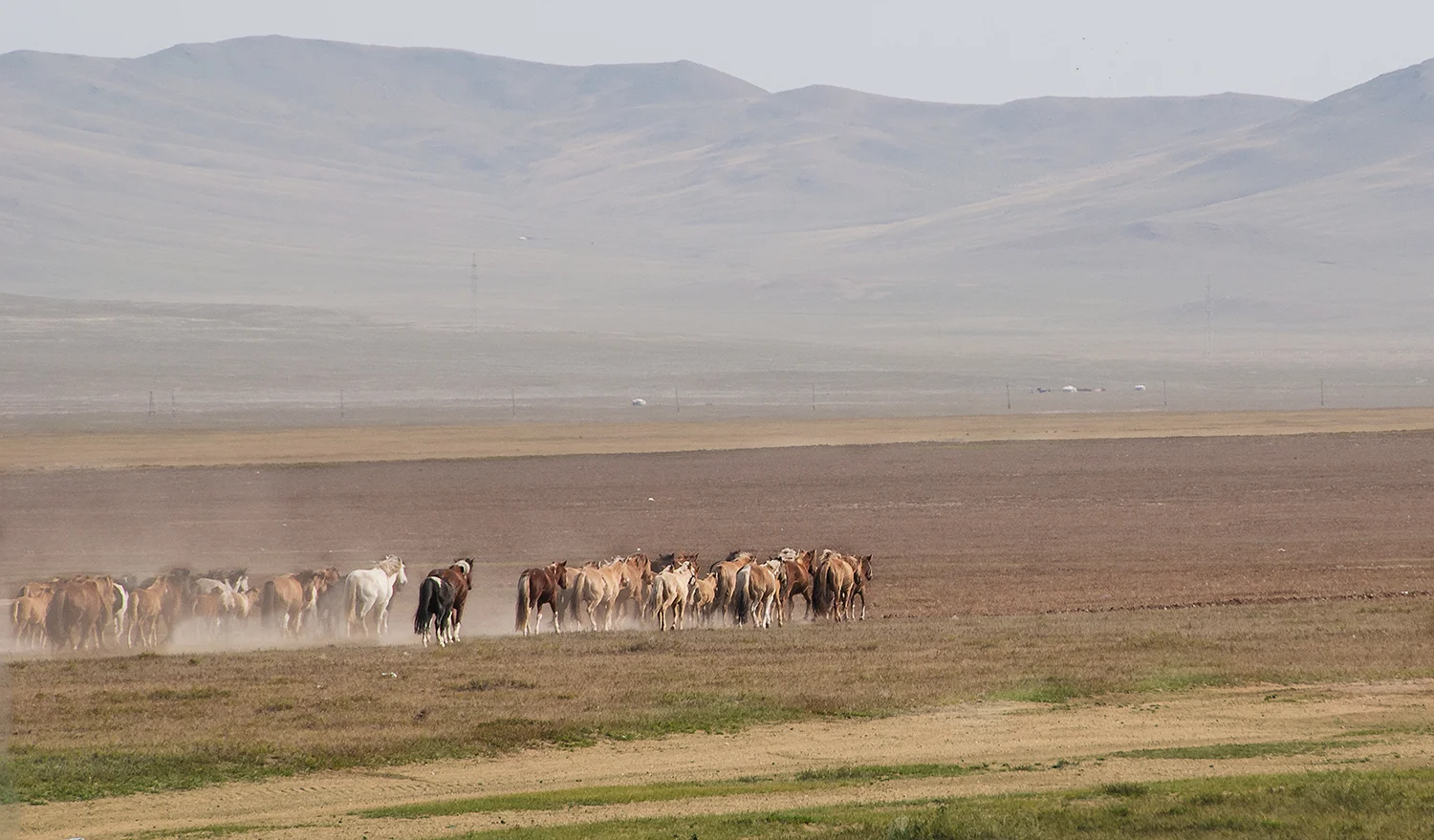 Mongolian Steppe