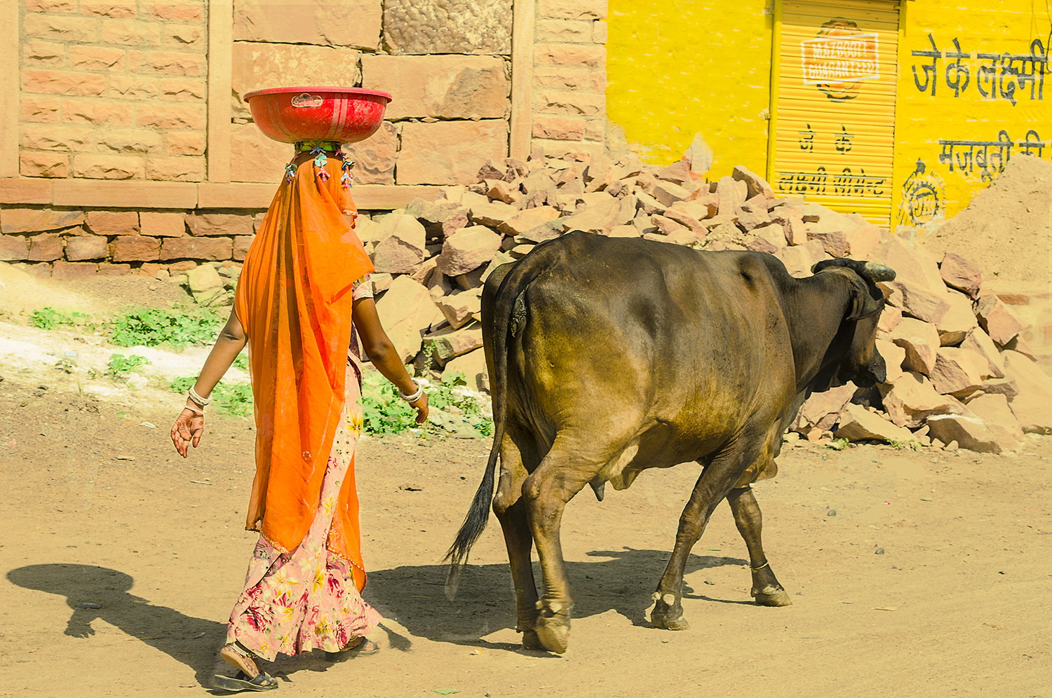   Rajasthan, India  