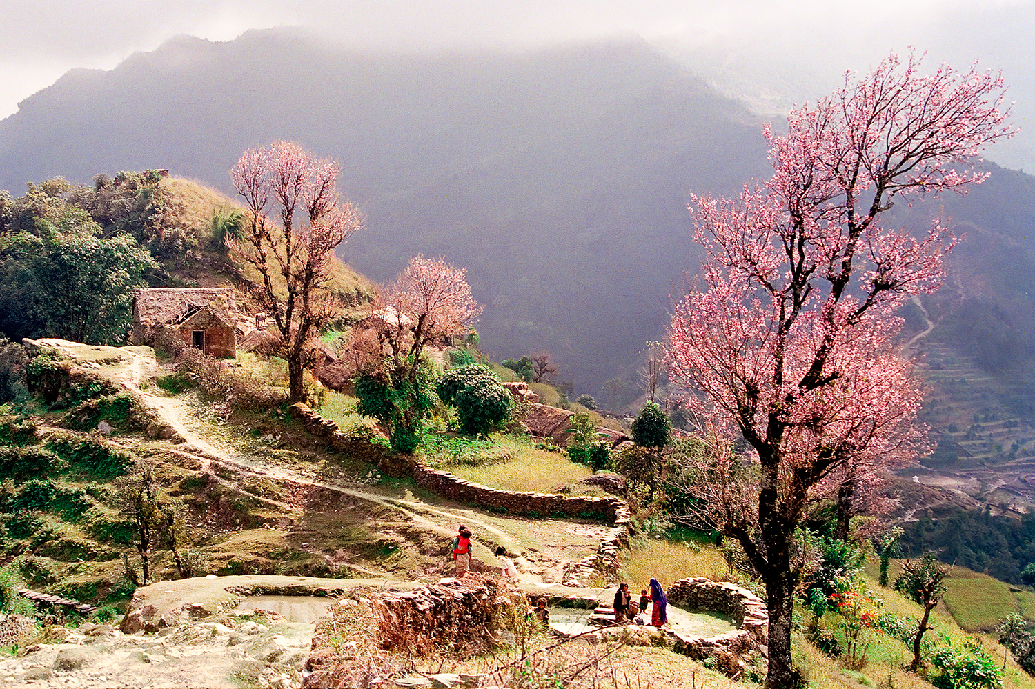 Outskirts village, Annapurna region, Nepal