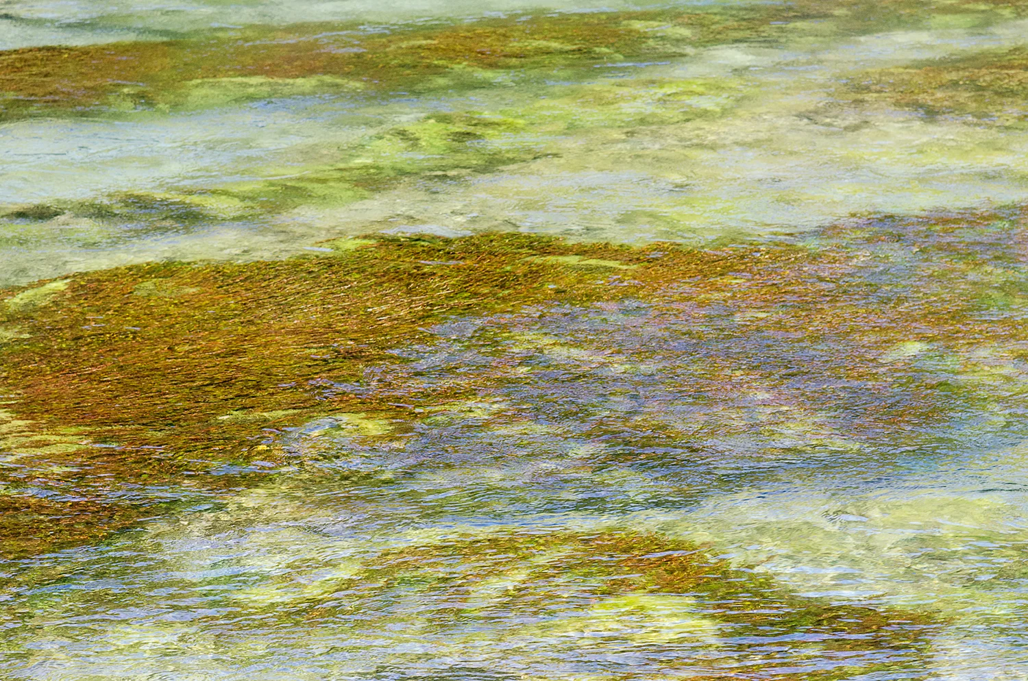 Bed of shallow stream, Argentina