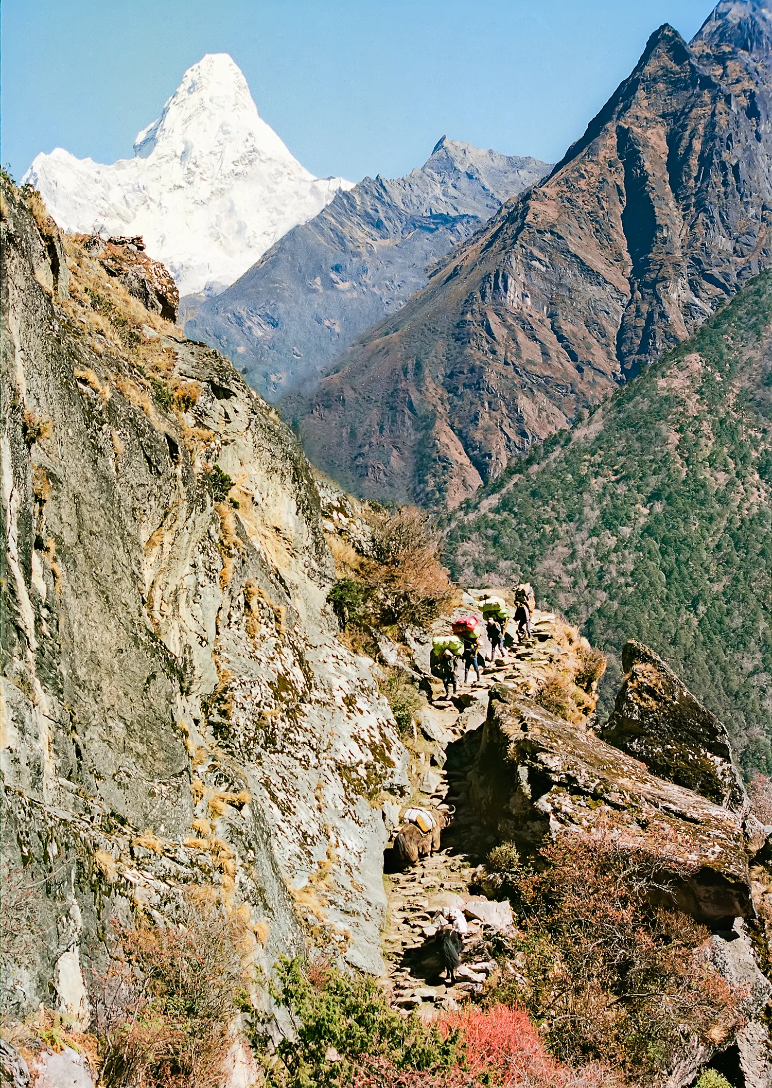   Everest region, Nepal  