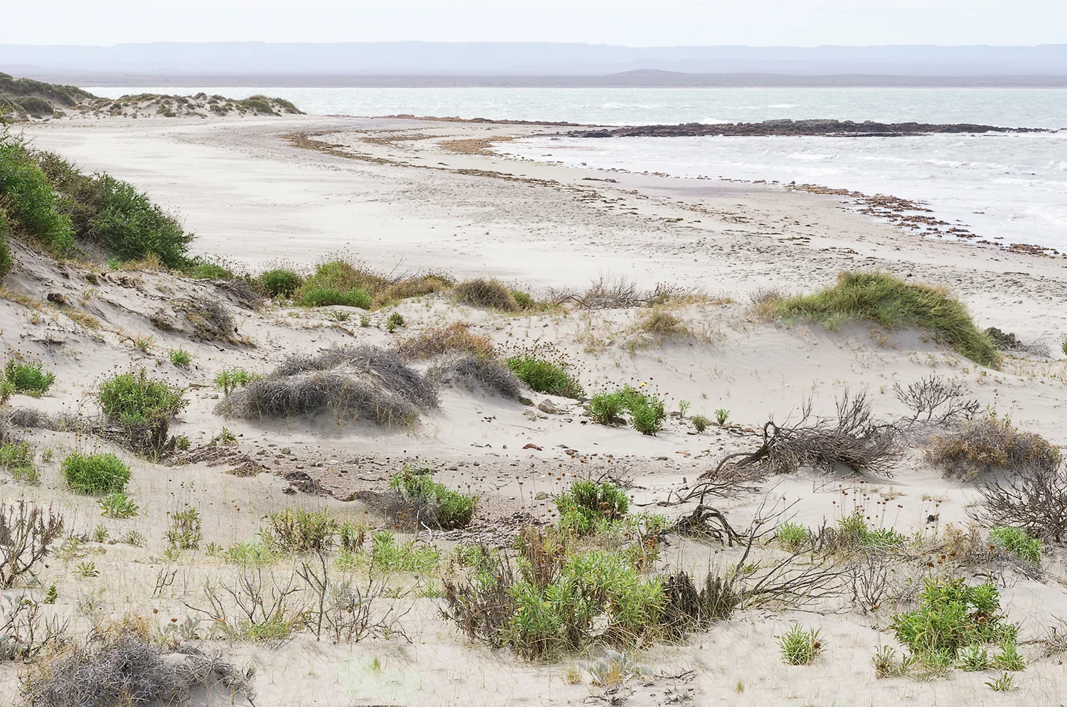 Bahia Bustamane, Patagonia, Argentina