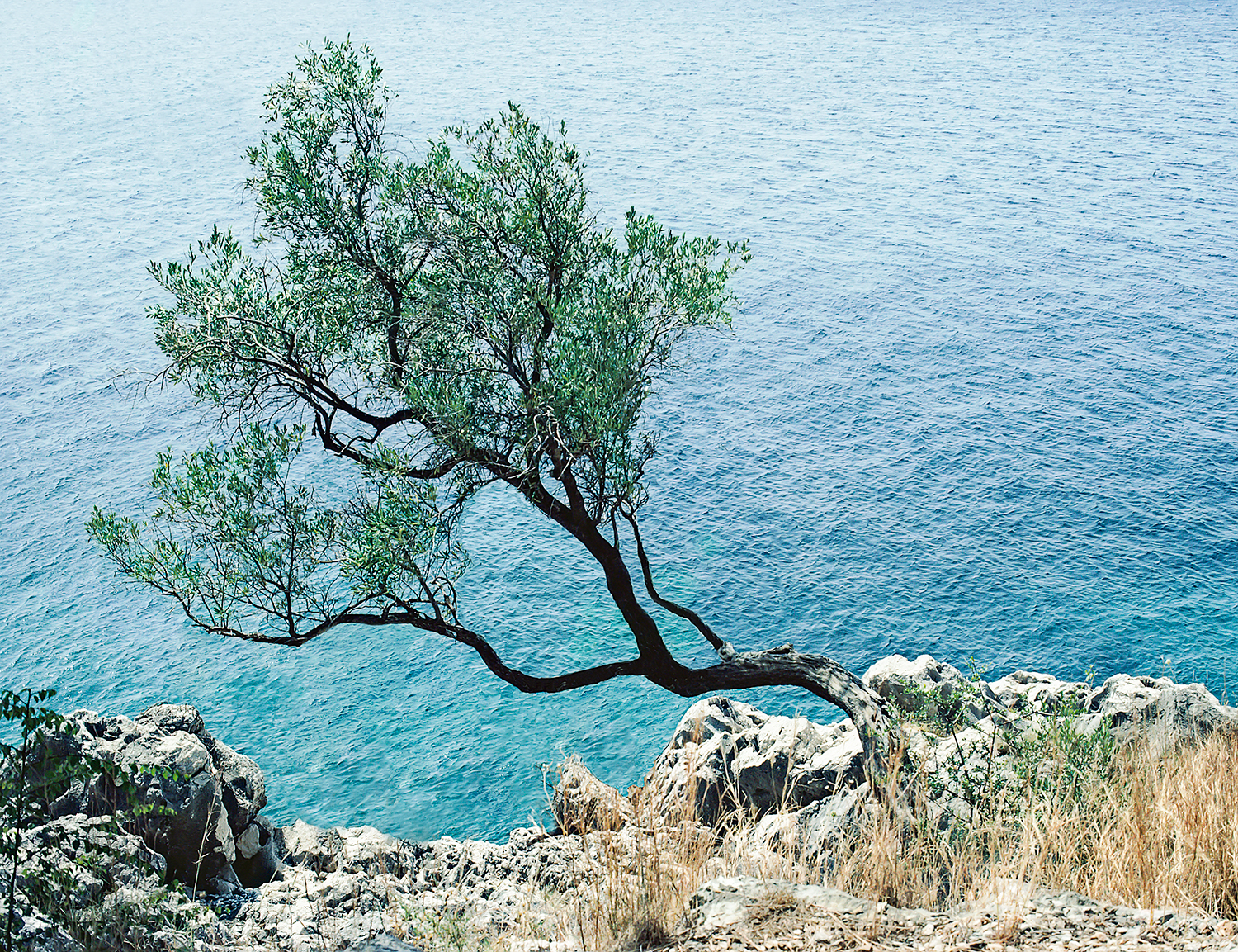Greece