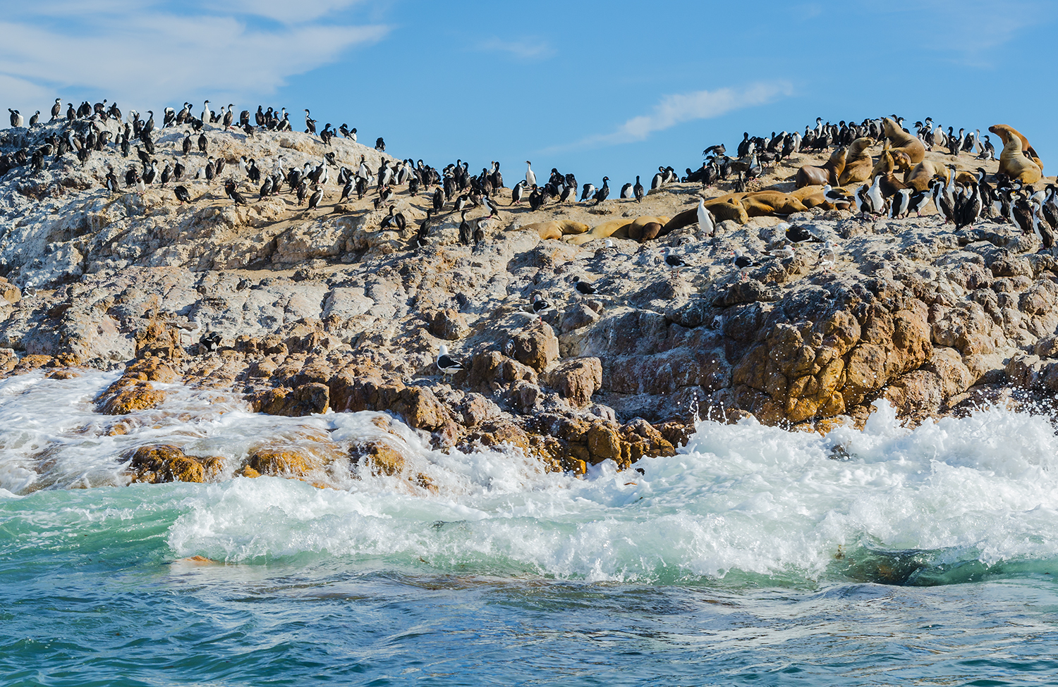   Rock island, Bahia Bustamante, Patagonia, Argentina  