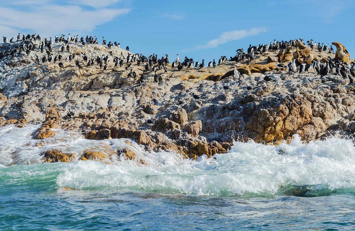 Rock island, Bahia Bustamante, Patagonia, Argentina