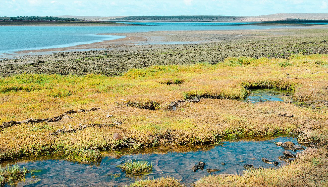  Bahia Bustamante, Patagonia, Argentina 