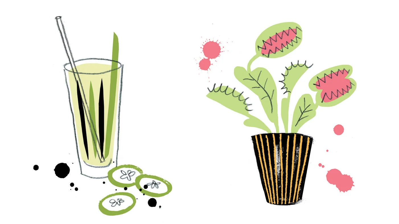 drinks_tfc_NerylWalker copy.jpg