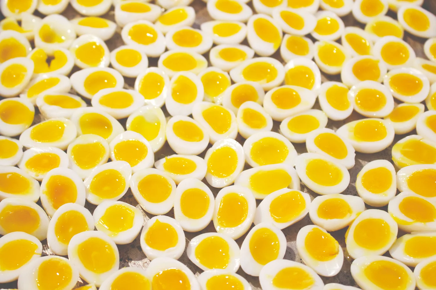 Post Feast Wrap Up (A Weekend of so Much Good Food it Will Make Your Head Explode and Your Gut)