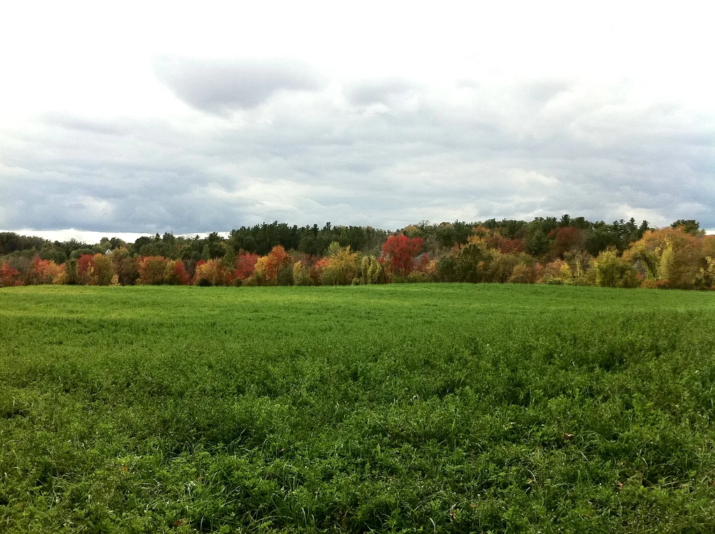 Battis Farm