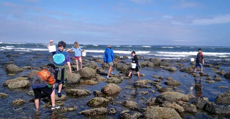 Joppa Flats Education Center