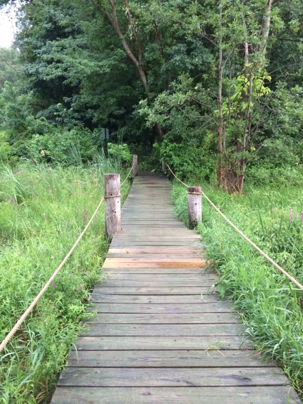 Powow River Conservation Area (Po Hill)