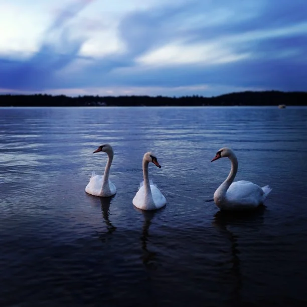 Lake Attitash