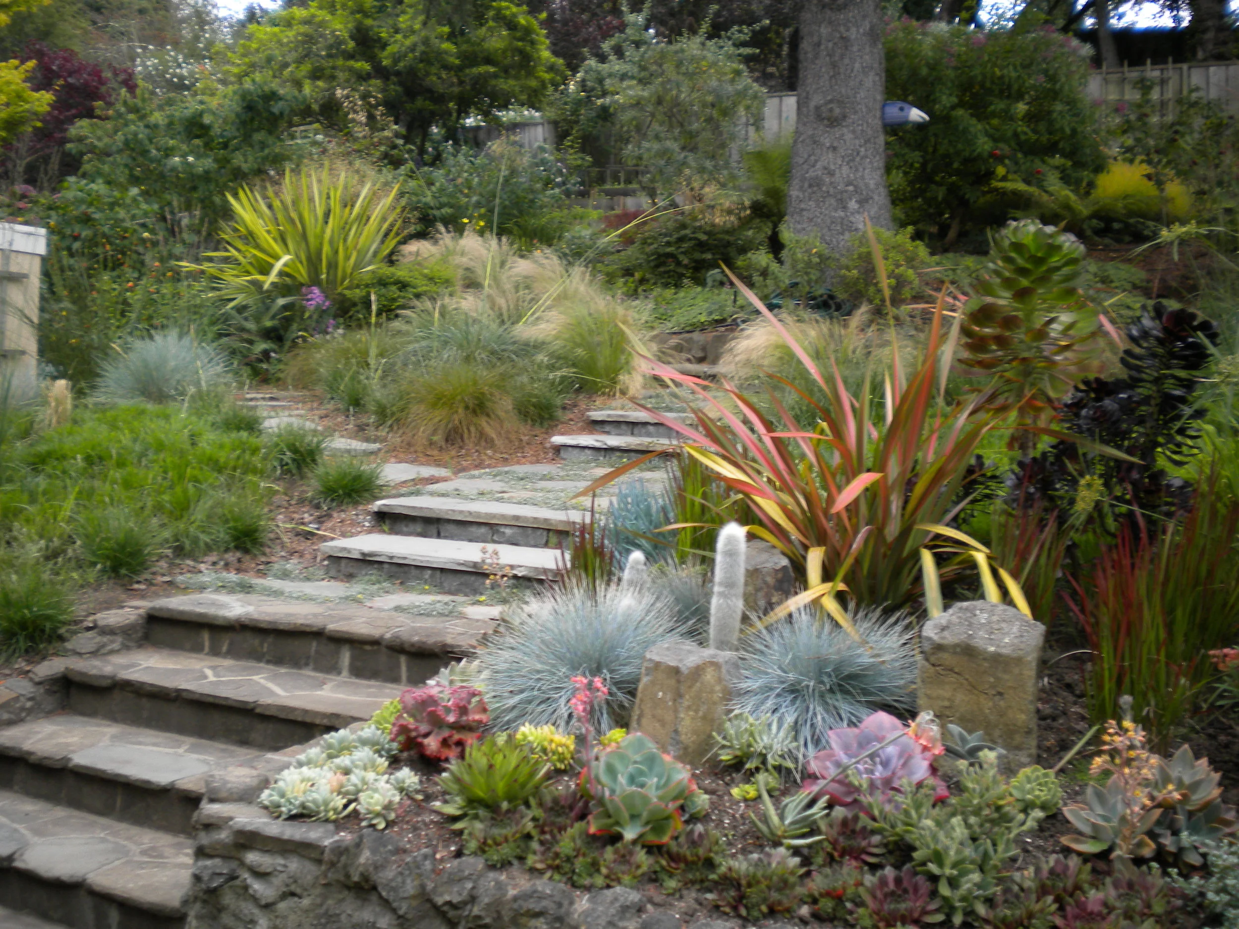 DSCN1057.JPG