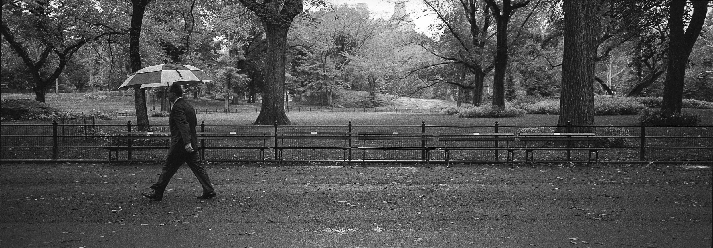 0093.jpg