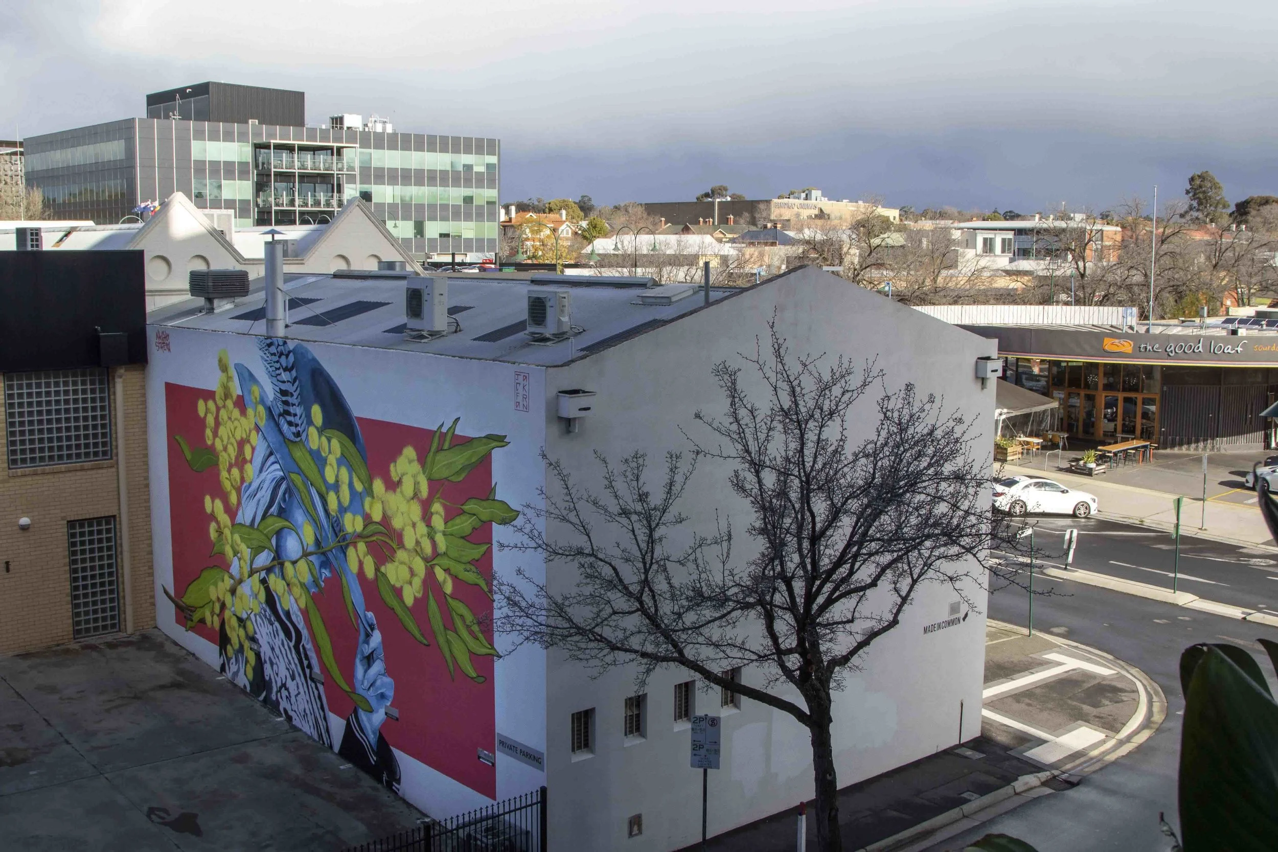 Jack Fran Paints Mural In Bendigo - Day 5-2.jpg