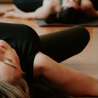 Crown View Butterfly (1).jpeg