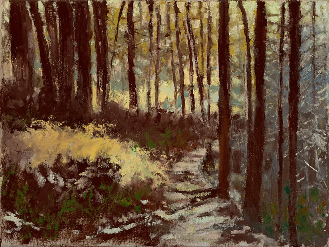 Waterfall Trail #1